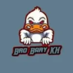 Bro Bary Injector APK