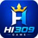 HI309 Game