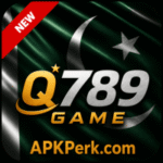 Q789 Game