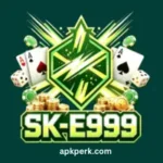 sk e999 game