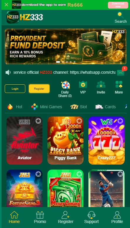 HZ333 Game