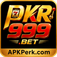 PKR999 Game APK Download | Best Earning App Free for Android 1